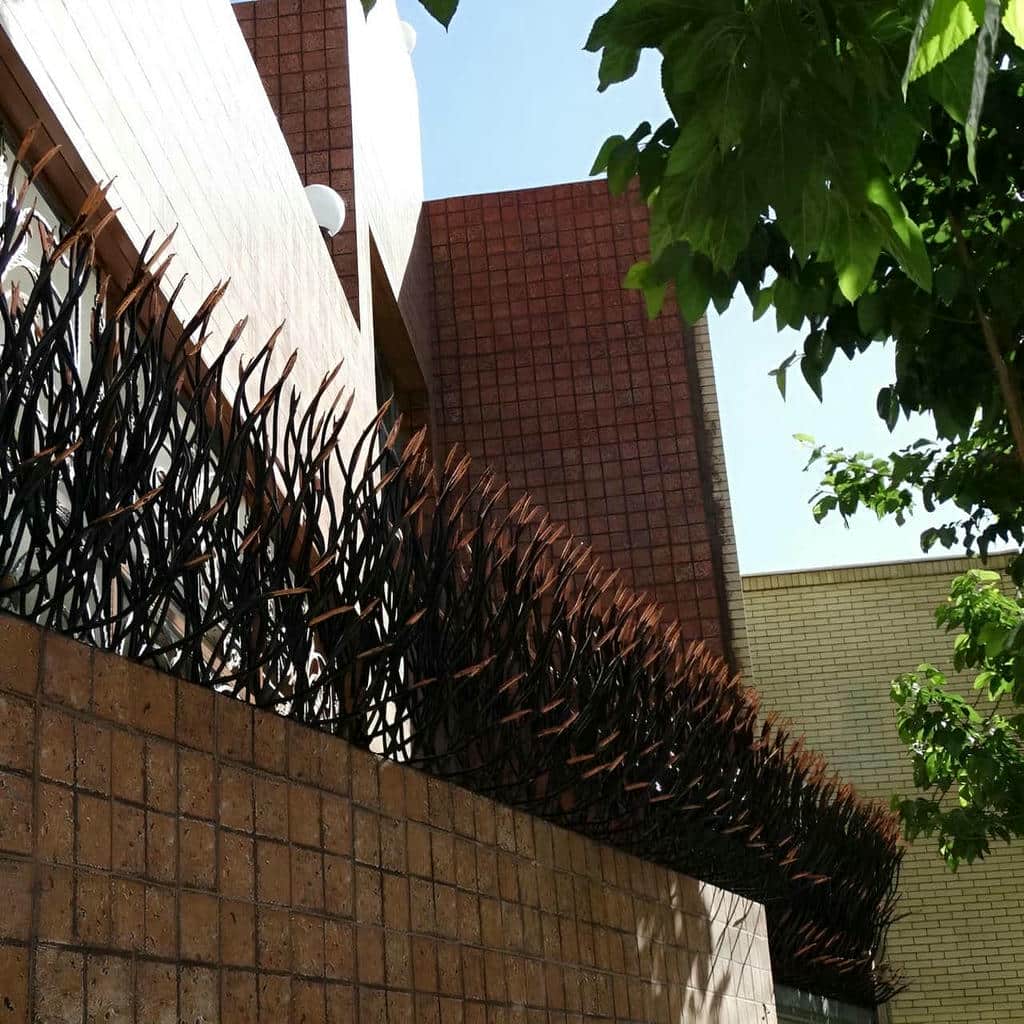 حفاظ شاخ گوزنی در نظرآباد