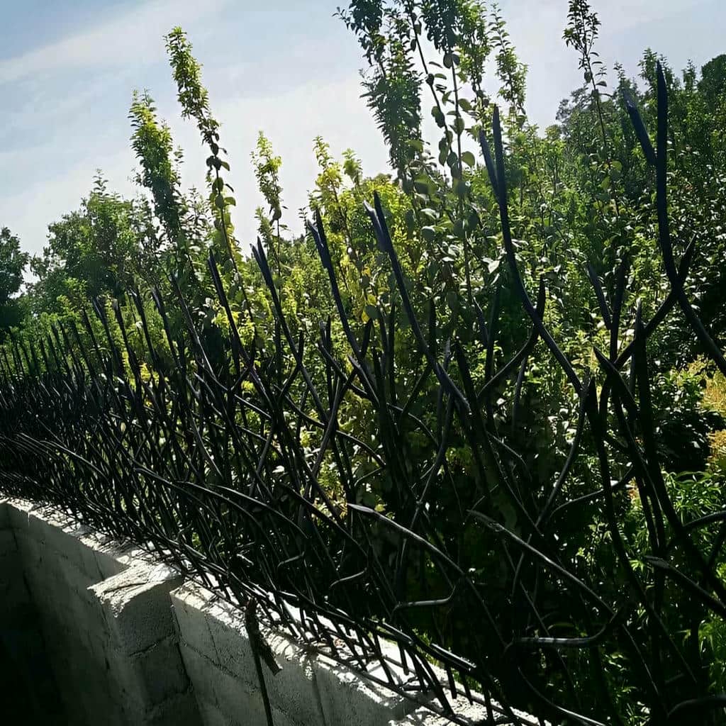 فروش حفاظ شاخ گوزنی دیوار شهری در سمنان