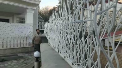 حفاظ شاخ گوزنی در باغ عباس‌آباد