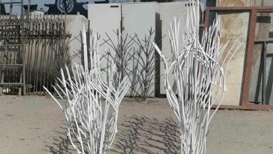 حفاظ شاخ گوزنی در کیش