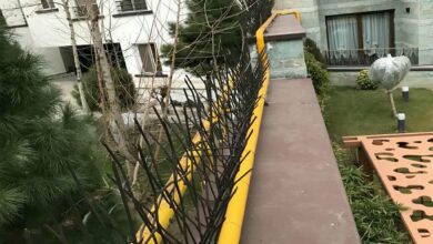 حفاظ شاخ گوزنی در پردیس