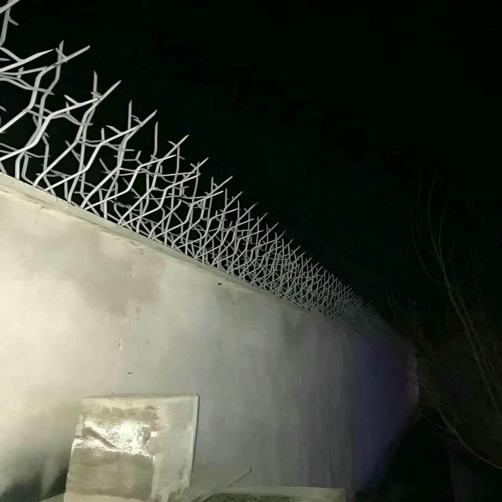 نصب حفاظ شاخ گوزنی دیوار در نیشابور