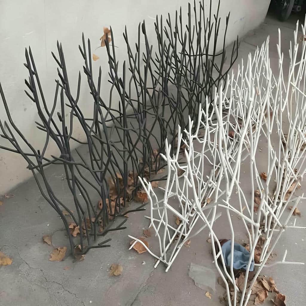 حفاظ شاخ گوزنی در اردبیل