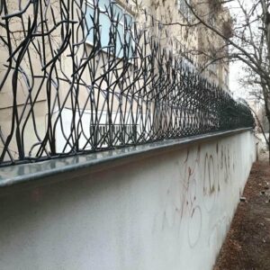 حفاظ شاخ گوزنی در یاسوج
