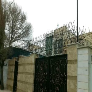 حفاظ شاخ گوزنی در بندرعباس