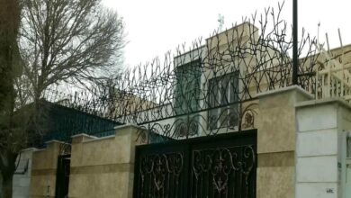 حفاظ شاخ گوزنی در بندرعباس