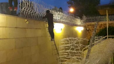 حفاظ شاخ گوزنی در استان مازندران