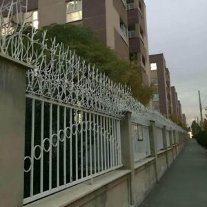 حفاظ شاخ گوزنی در بندر انزلی