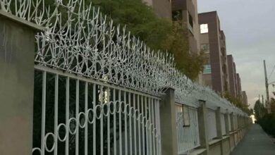 حفاظ شاخ گوزنی در بندر انزلی