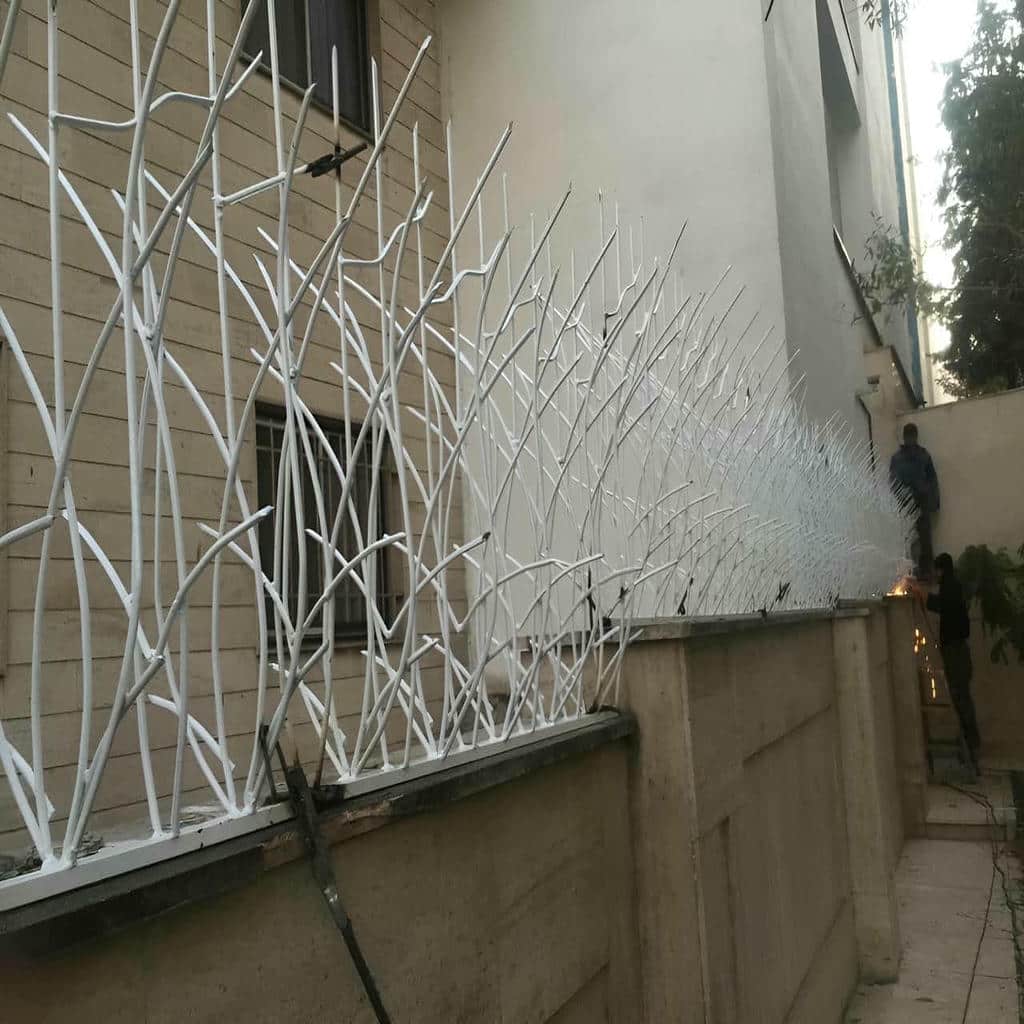 قیمت حفاظ شاخ گوزنی دیوار باغی در گرگان