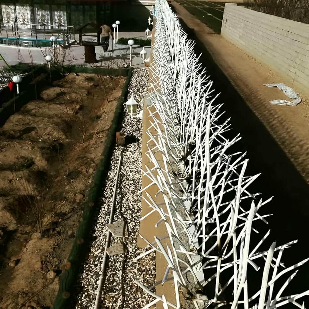 قیمت حفاظ شاخ گوزنی پرتراکم در اردبیل