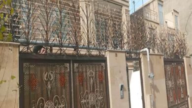 حفاظ شاخ گوزنی در سنندج