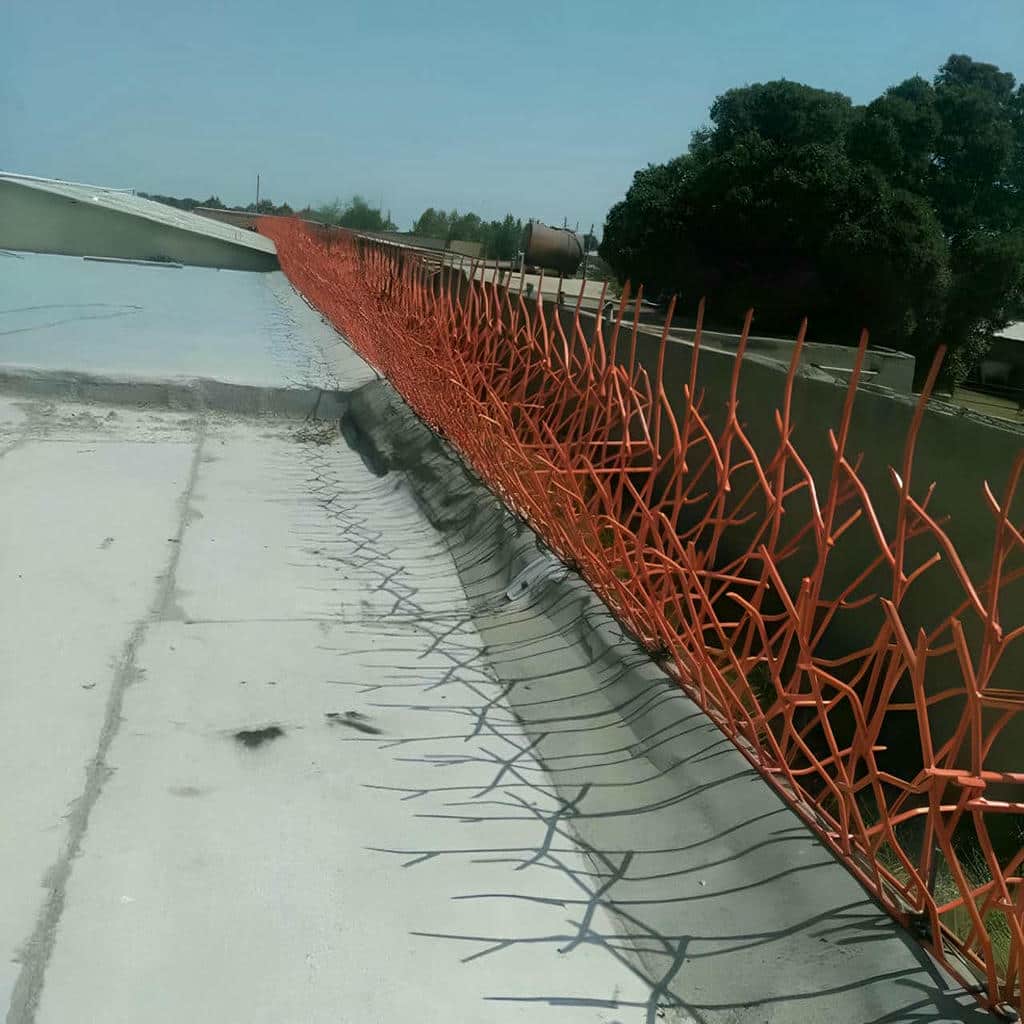 خرید حفاظ شاخ گوزنی پرتراکم در نسیم شهر خرید حفاظ شاخ گوزنی پرتراکم در نسیم شهر