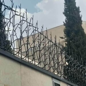 حفاظ شاخ گوزنی در آبادان