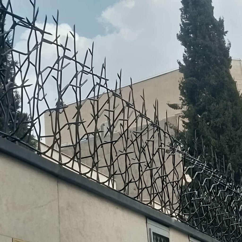 حفاظ شاخ گوزنی در آبادان