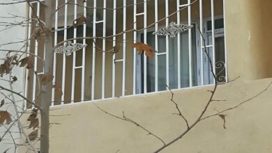 حفاظ پنجره نرده منزل در ایرانشهر