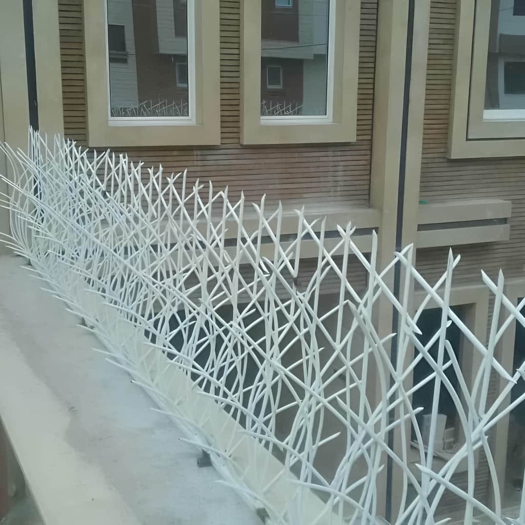 نصب حفاظ نیزار دیوار باغ روی تاج سنگی