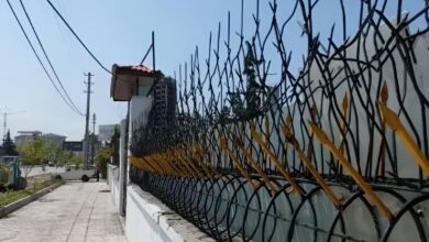 9 مدل حفاظ شاخ گوزنی دیوار باغ ویلا