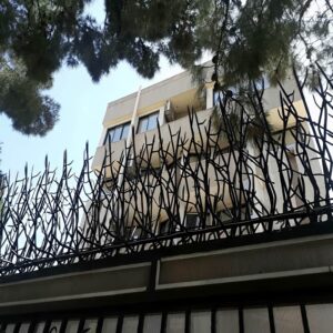 9 مدل حفاظ بوته ای دیوار پرتراکم