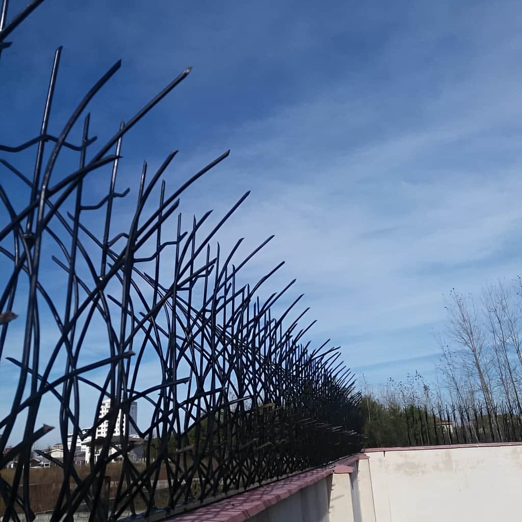 حفاظ نیزار با طراحی شاخه ای