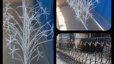 حفاظ نخل مرداب فلزی دیوار