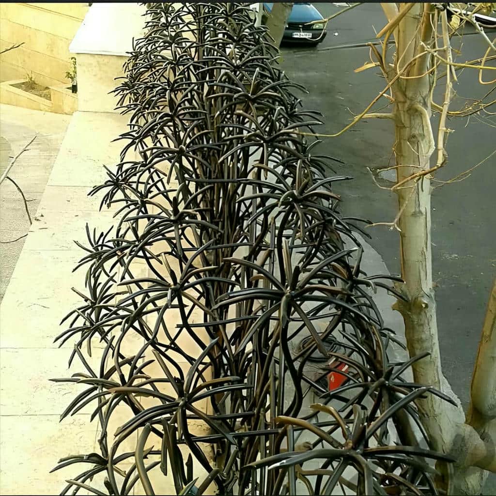حفاظ دیوار با پوشش مقاوم